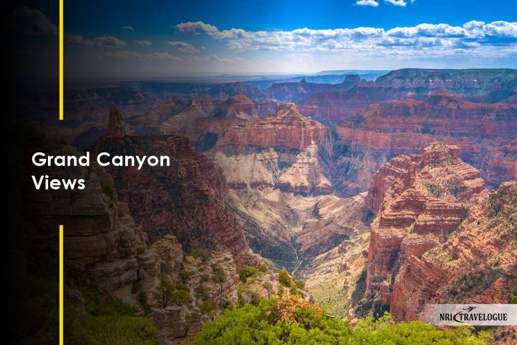 Grand Canyon Views