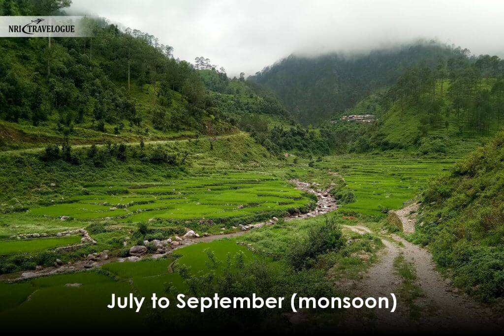 July to September (monsoon)