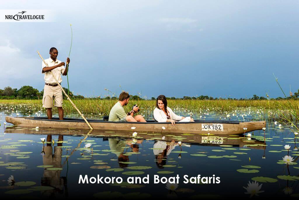 Mokoro and Boat Safaris
