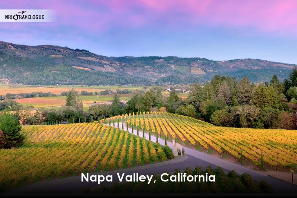 Napa Valley