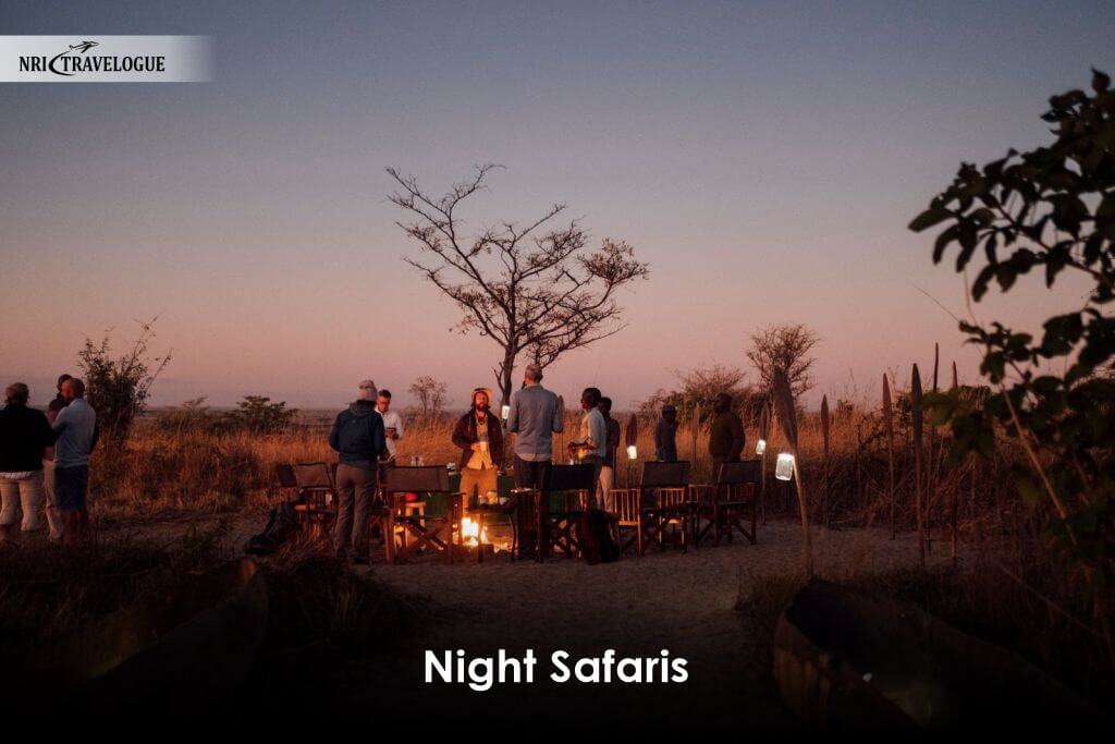 Night Safaris