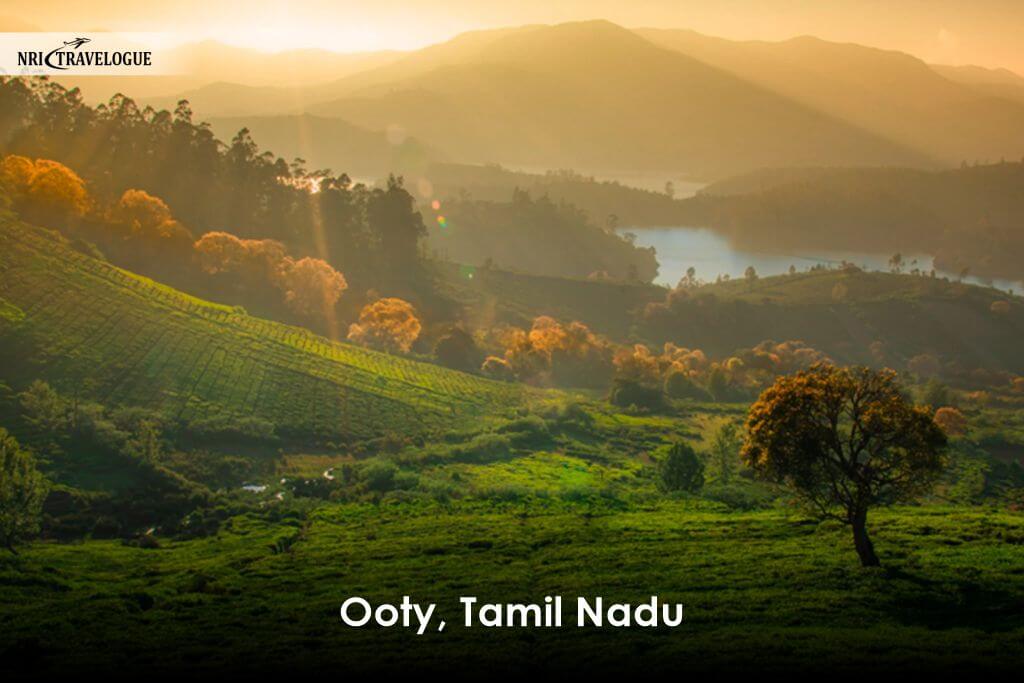 Ooty, Tamil Nadu