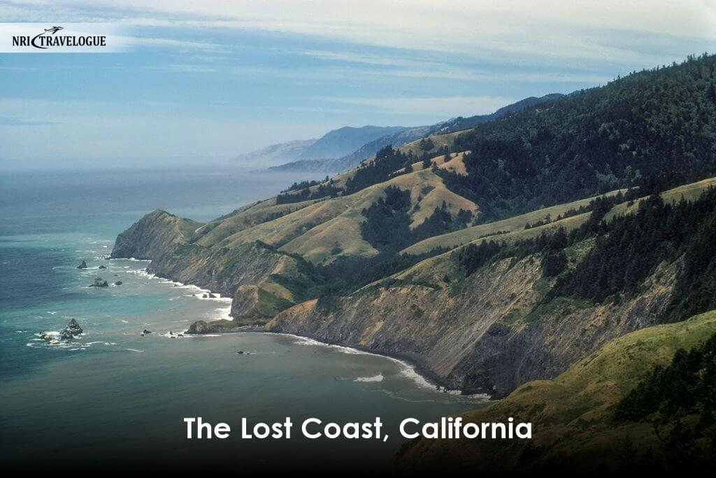The Lost Coast