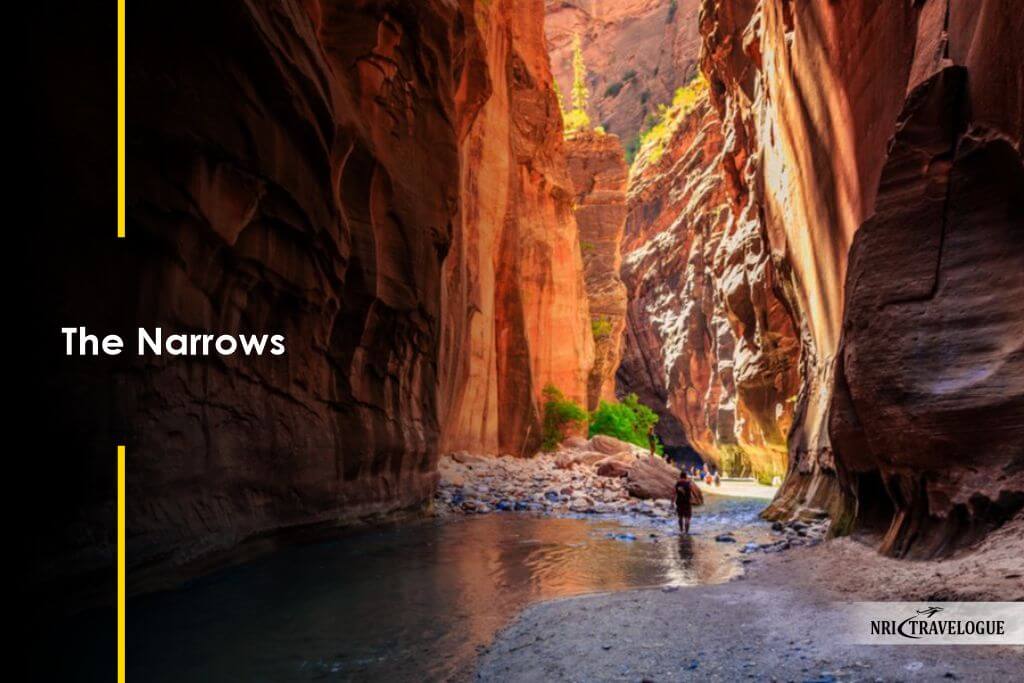 The Narrows