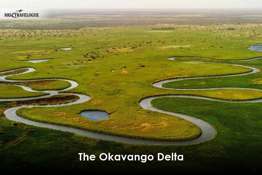 The Okavango Delta