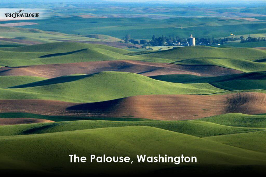 The Palouse, Washington