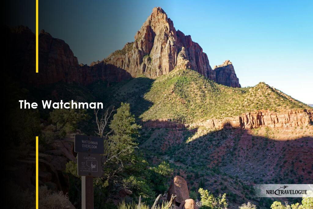 The Watchman