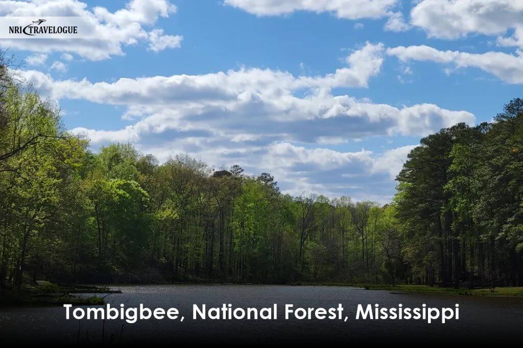 Tombigbee, National Forest, Mississippi