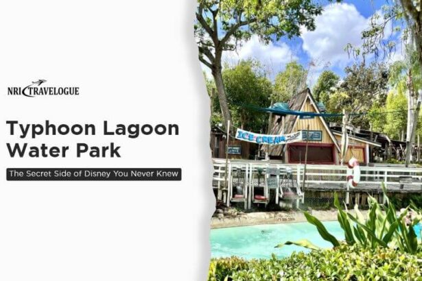 Typhoon Lagoon Water Park: The Secret Side of Disney You Never Knew