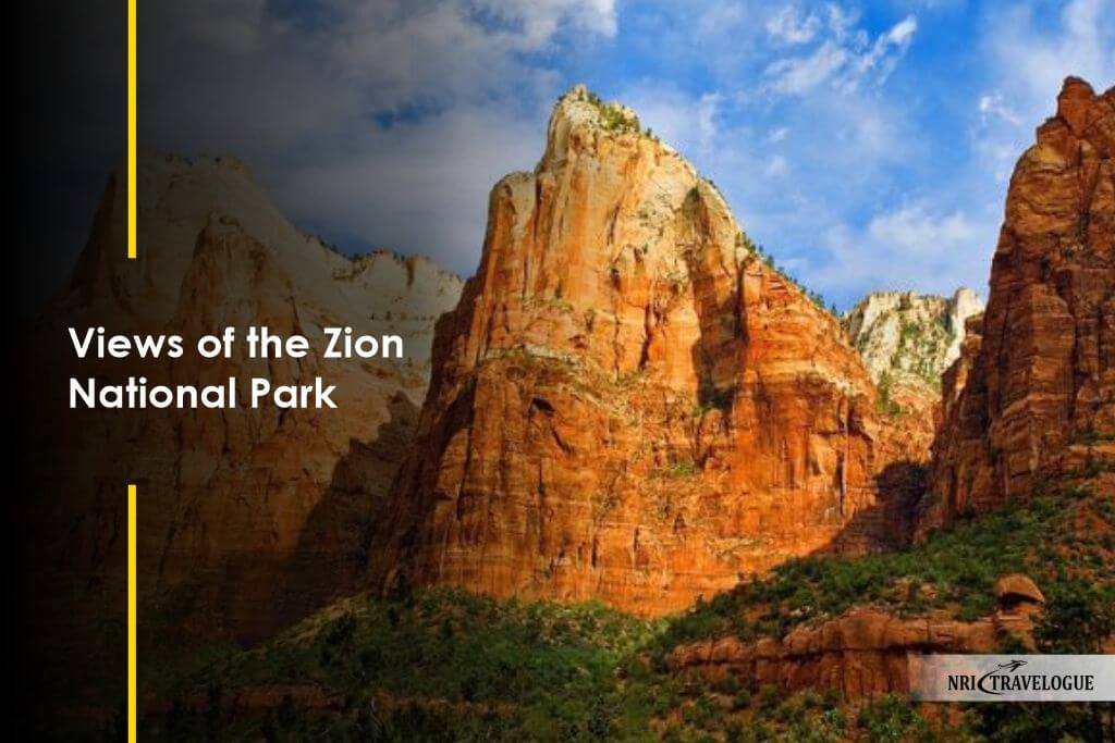 Views of the Zion National Park