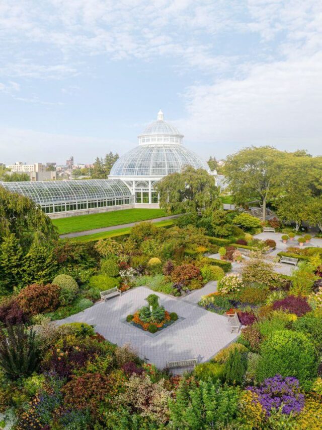 You Won’t Believe These 7 Hidden Urban Gardens in the USA