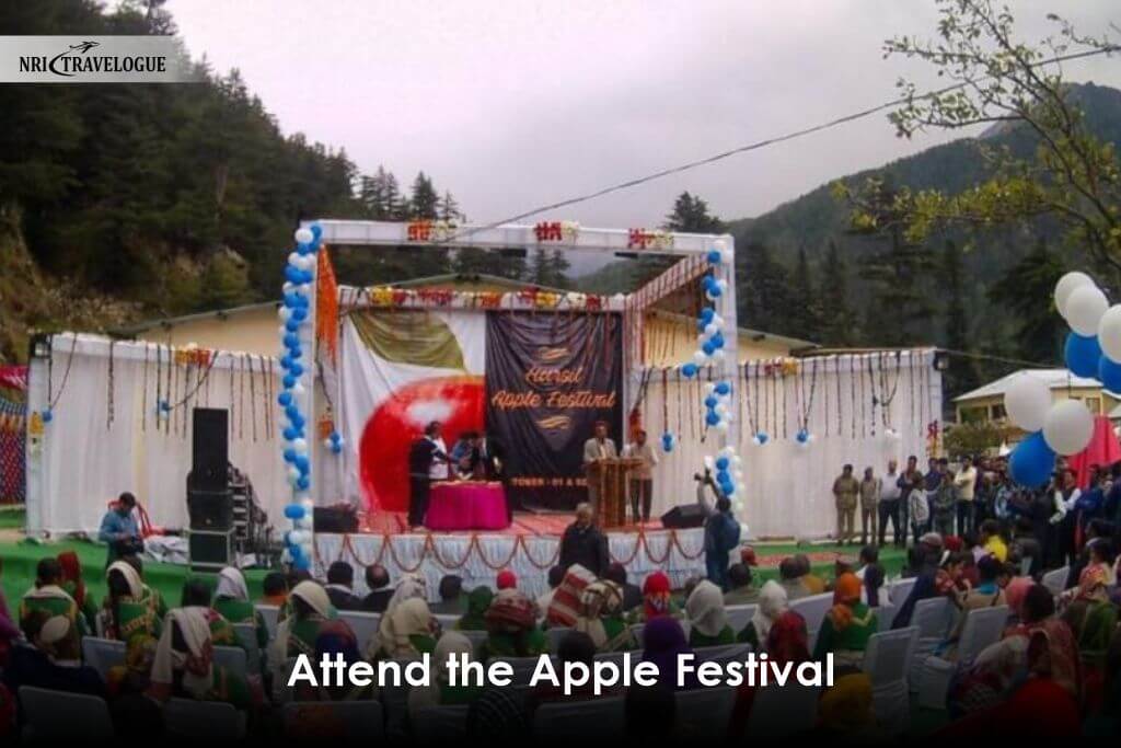 Attend the Apple Festival