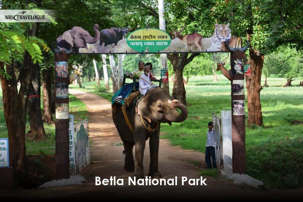Betla National Park