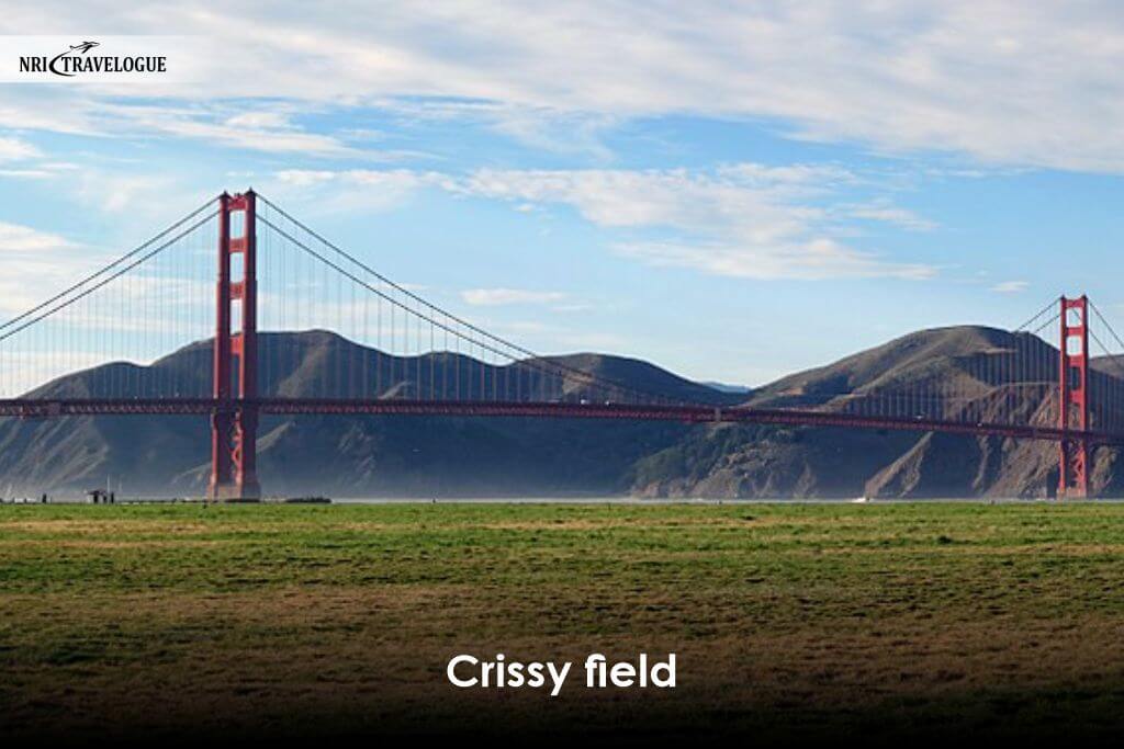 Crissy Field