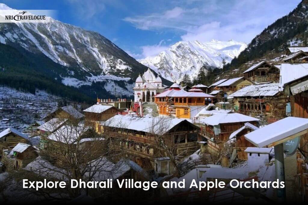 Explore Dharali Village and Apple Orchards