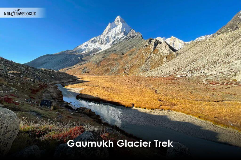 Gaumukh Glacier Trek