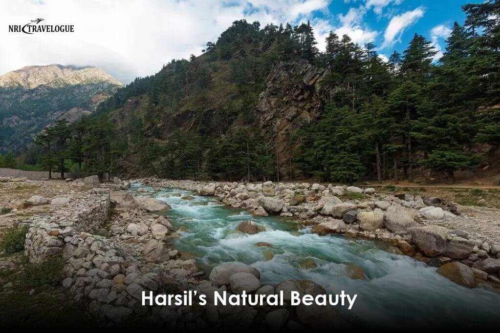 Harsil’s Natural Beauty