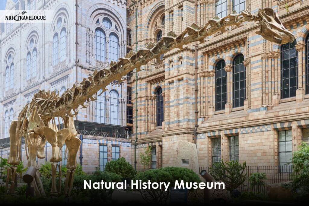 Natural History Museum – London, UK