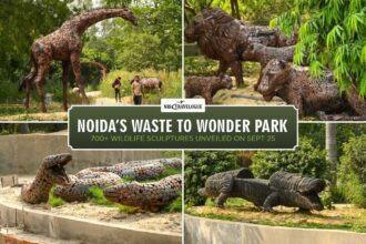 Noida’s Waste to Wonder Park