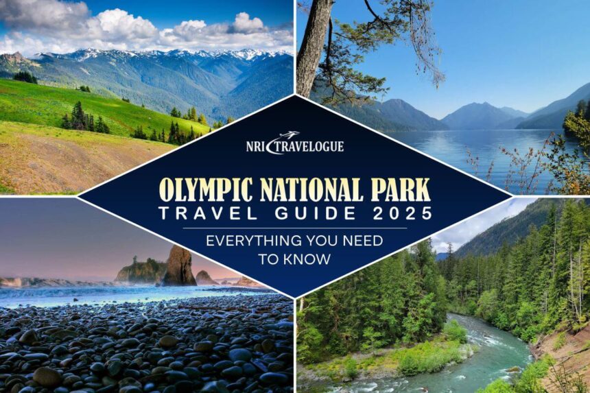 Olympic National Park Travel Guide 2025