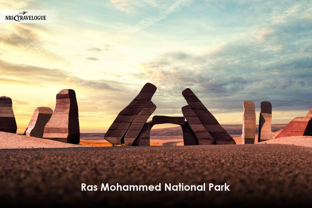 Ras Mohammed National Park