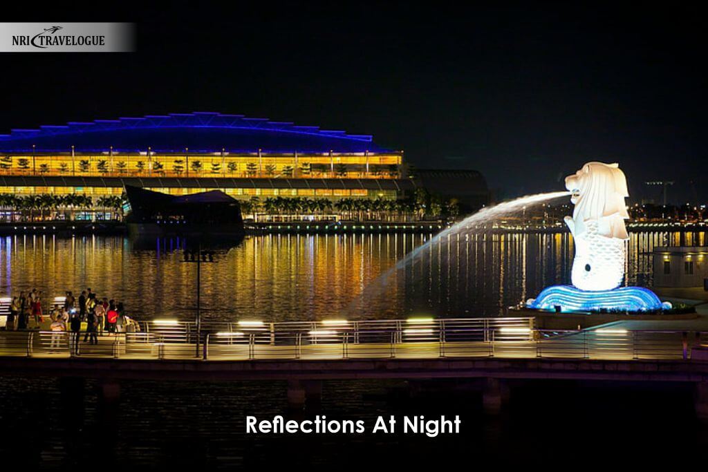 Reflections at Night