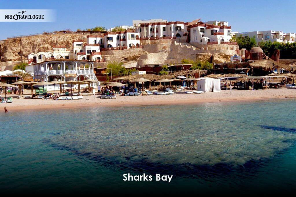 Sharks Bay