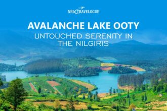 Avalanche Lake Ooty Untouched Serenity in the Nilgiris