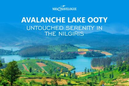 Avalanche Lake Ooty Untouched Serenity in the Nilgiris