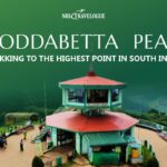 Doddabetta Peak Trekking to the Highest Point in South India