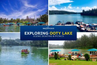 Exploring Ooty Lake Scenic Boating & Picnics