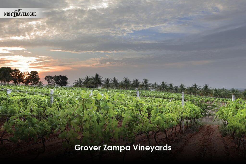 Grover Zampa Vineyards