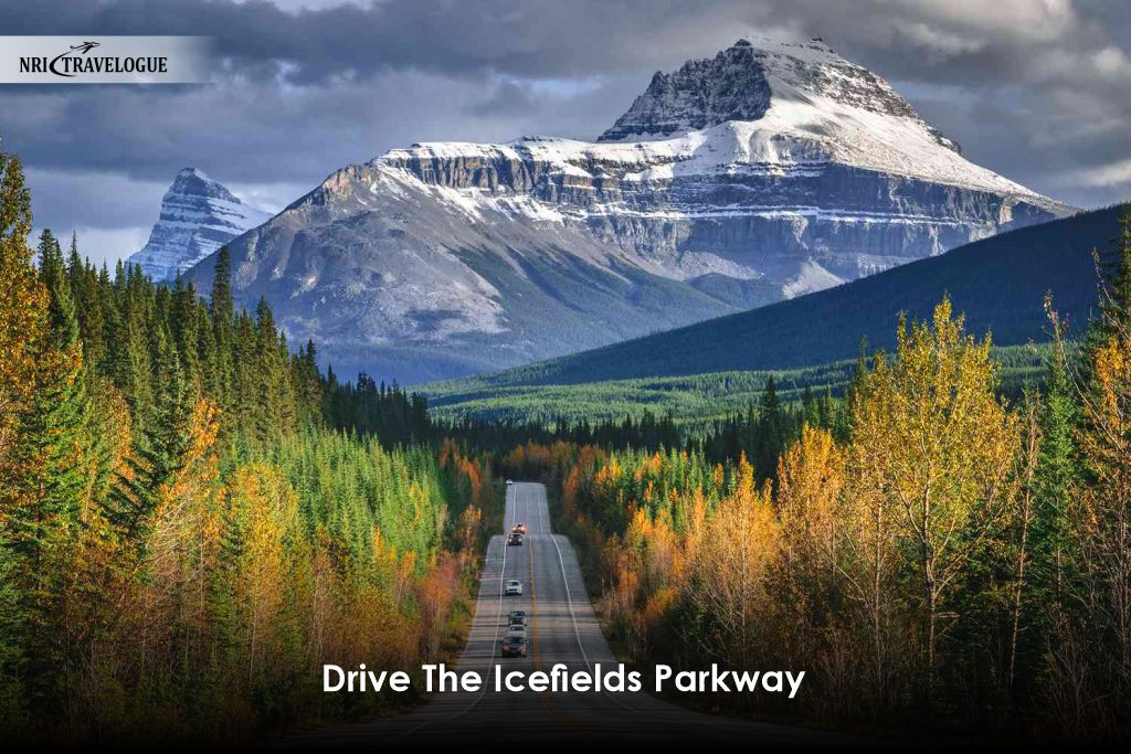 Icefields Parkway