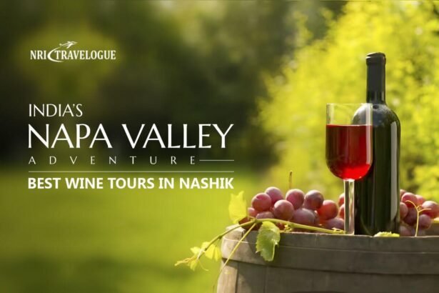 India’s Napa Valley Adventure: Best Wine Tours in Nashik
