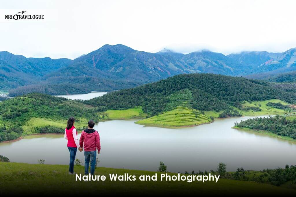 Nature Walks and Photography