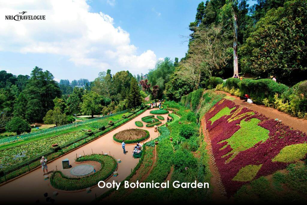 Ooty Botanical Garden