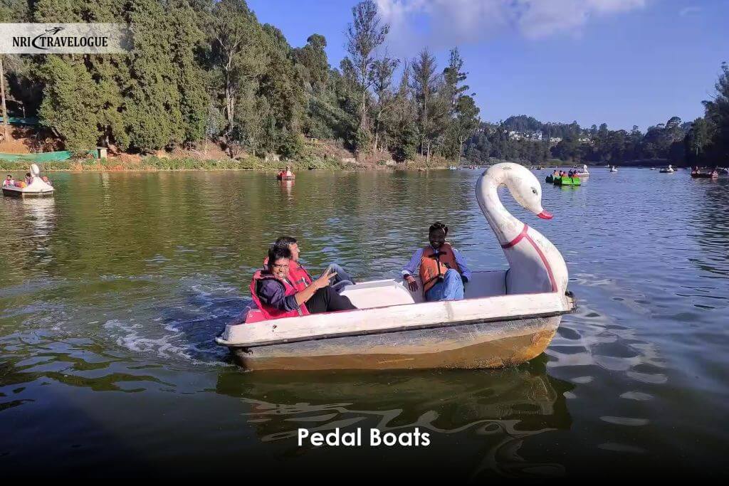 Pedal Boats