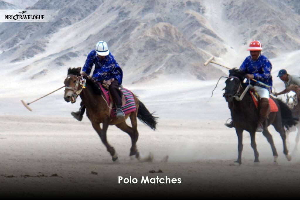 Polo Matches