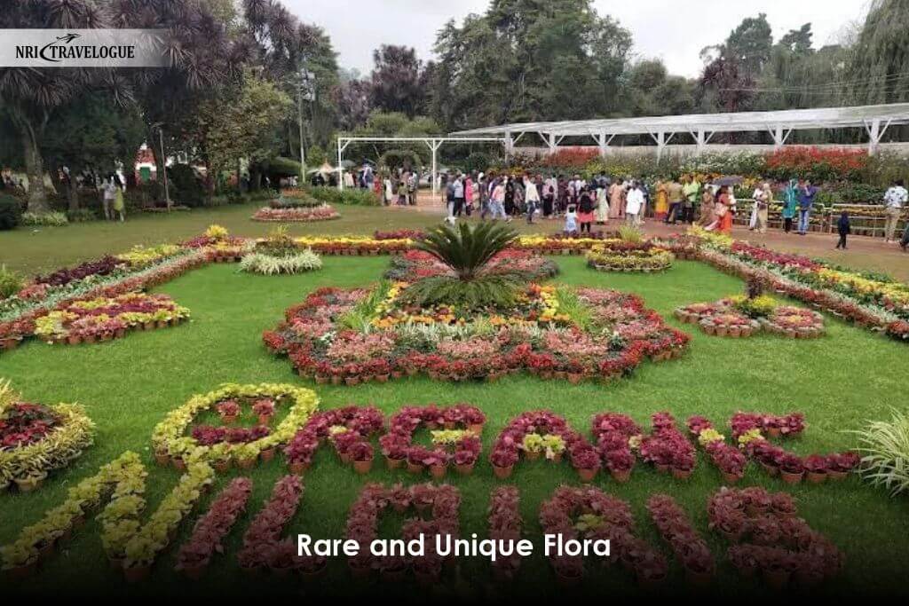 Rare and Unique Flora