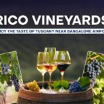 Rico Vineyards Enjoy the Taste of Tuscany Near Bangalore Airport