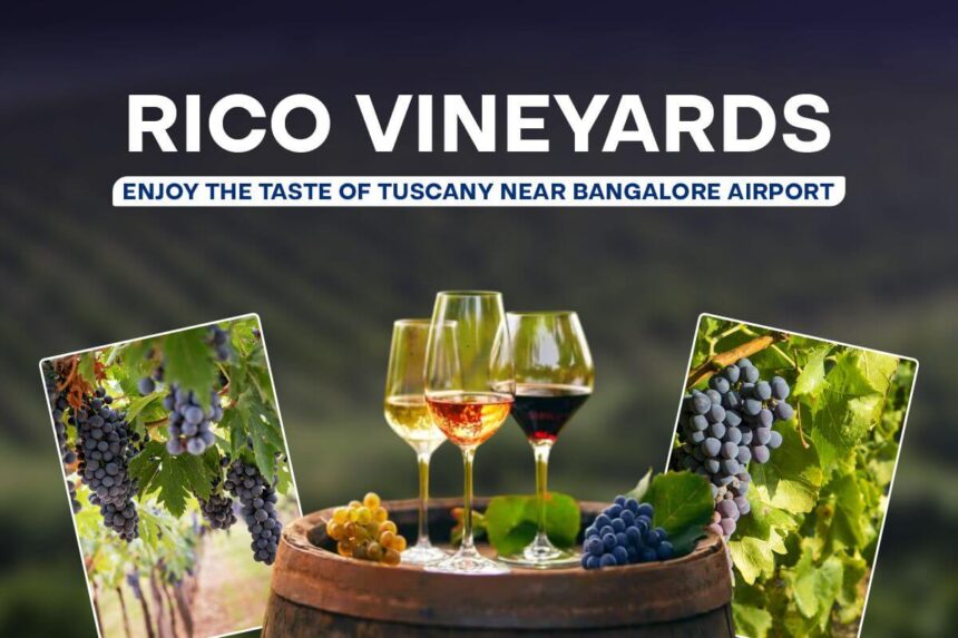 Rico Vineyards Enjoy the Taste of Tuscany Near Bangalore Airport