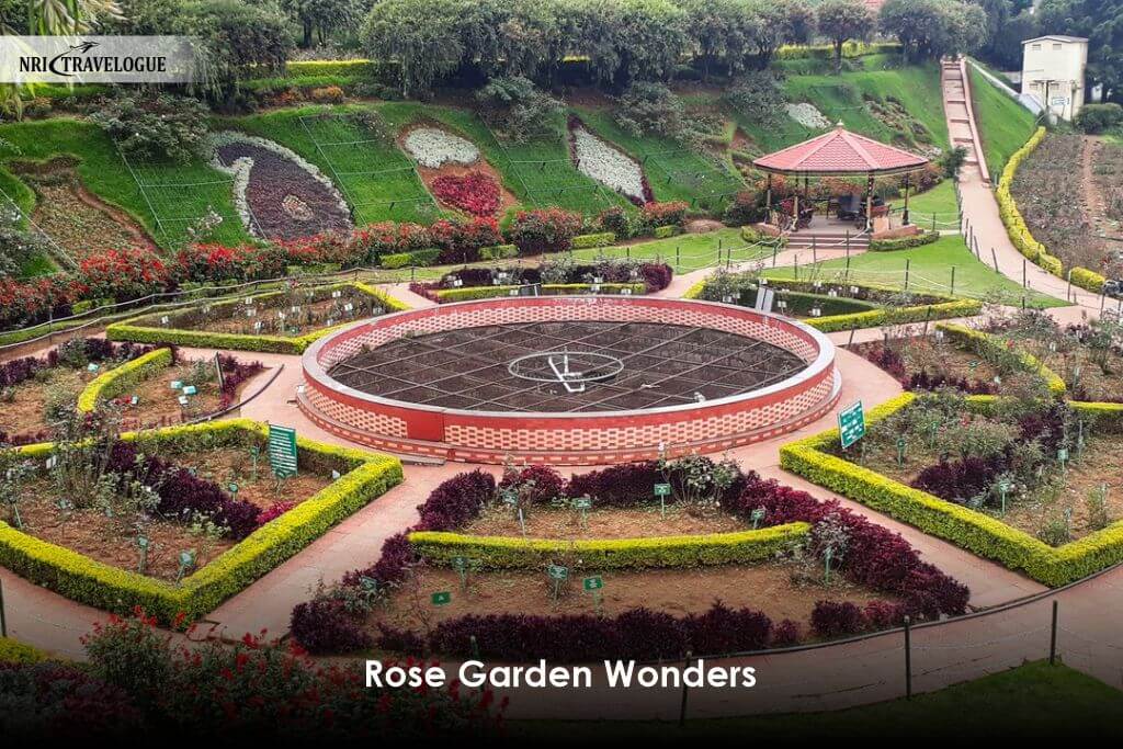 Rose Garden Wonders