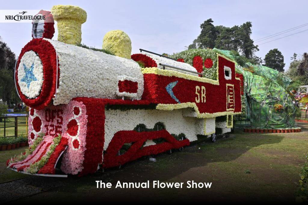 The Annual Flower Show