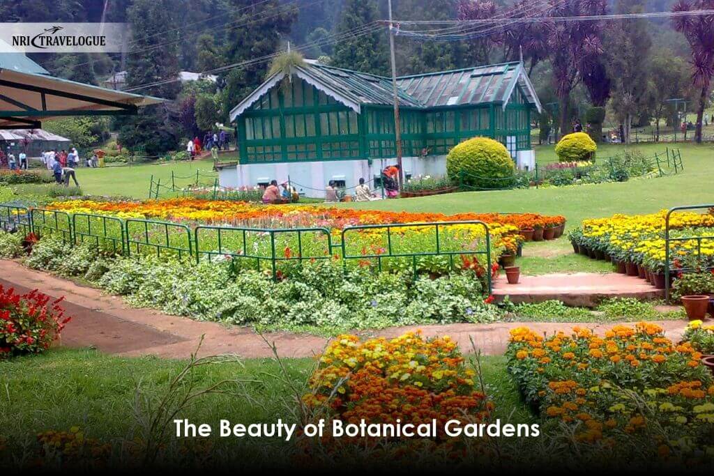 The Beauty of Botanical Gardens