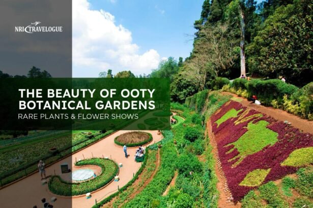 Botanical Garden