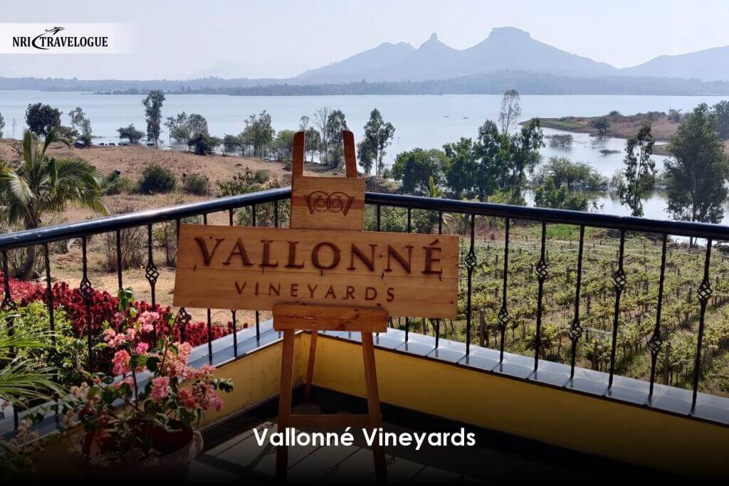 Vallonné Vineyards