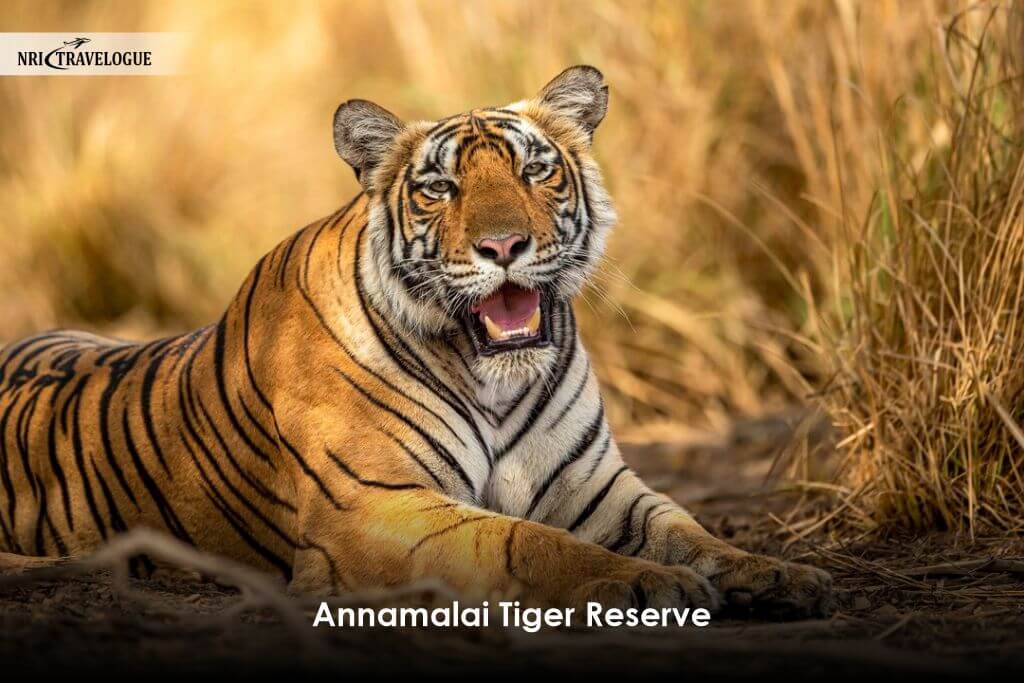 Annamalai Tiger Reserve