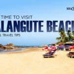 Best Time to Visit Calangute Beach & Local Travel Tips