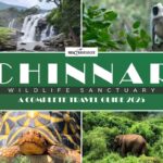 Chinnar Wildlife Sanctuary: A Complete Travel Guide 2025