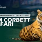 Everything You Need to Know Before a Jim Corbett Safari